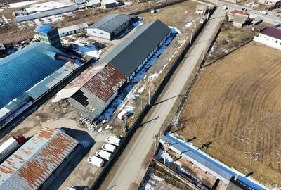 Hale industriale de inchiriat in Tg Neam? - 17