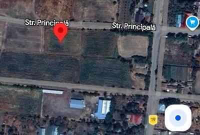 Teren Construcții intravilan de 2015 mp, în Bălteni - 2