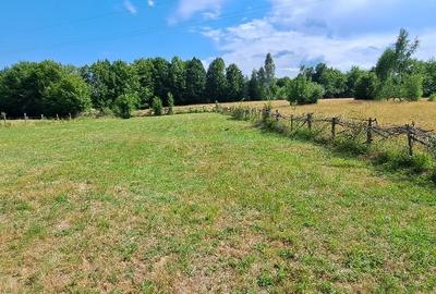 Bughea de Jos-Imparatia Mlacilor, teren de vanzare, 3000 mp, 27 ml deschidere - 3