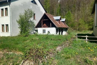 Casă cu 4 camere în Moneasa - 1