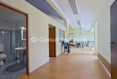 Spatiu birouri | Centru