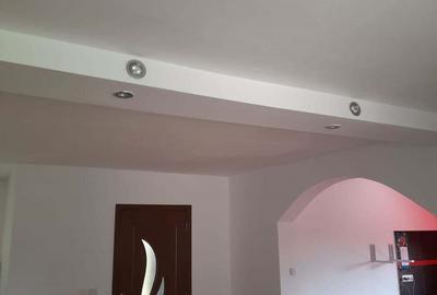 Casă cu 5 camere cu Teren 4000 Mp în Timișești - 9