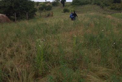 Casă cu 6 camere în Priseaca - 4