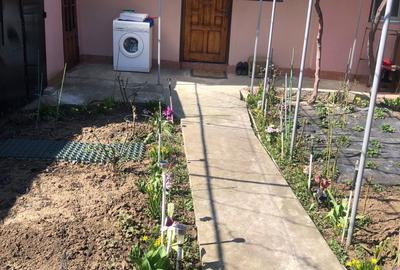 Garsonieră decomandată în Coiciu - 2