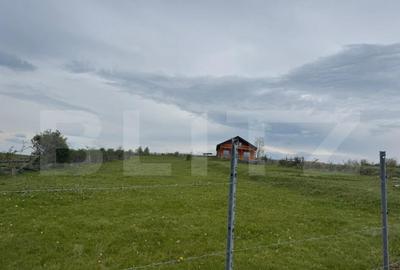 Casa 5 camere, teren 4740 mp, 120 mp, Marisel Casa 5 camere, teren 4740 mp, 120 mp, Marisel - 3