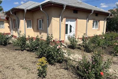 Casă cu Teren 1627 Mp în Colibași - 2