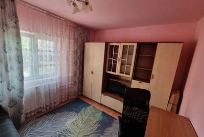 Apartament cu 2 camere semidecomandat în Lipovei - 2