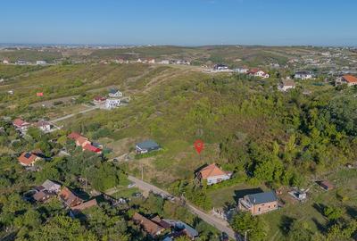 Teren 6.583 mp cu dubla deschidere si utilitati, Calea Adevarului - Oradea - 7