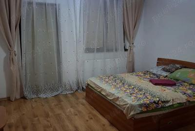 Casa de inchiriat Domnesti - 4