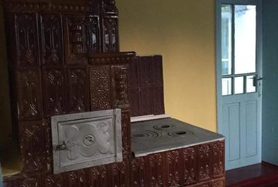 Casă cu 3 camere cu Teren 1000 Mp în Bogdănești - 8