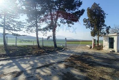 Spațiu industrial, de 5,000 mp, în Niculițel - 11