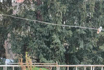 Apartament Central de vanzare Timi?oara - 16