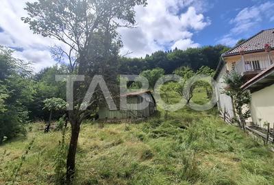 Teren 2500 mp la drum pe Valea Stezii Curmatura Rasinari - 5