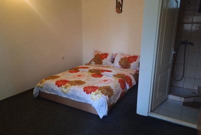 Casă cu 4 camere în Băile 1 Mai - 3