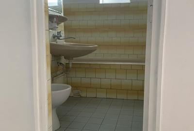 Apartament cu 3 camere în Păcurari - 5