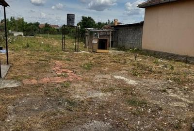 Casă individuală cu 2 camere cu Teren 1500 Mp în Central - 3