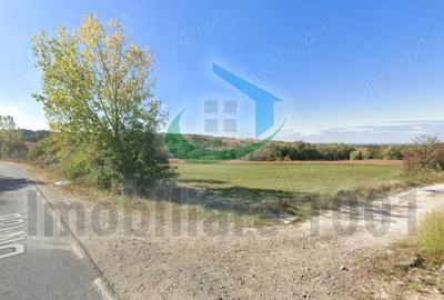 Teren intravilan 6300 mp, Carbunari, parcelat, acces la doua drumuri publice - 2