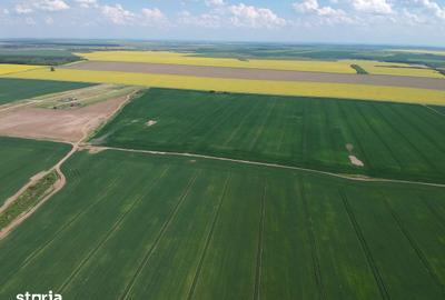 Teren de 4750 mp, în Vasilați - 4