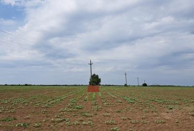 Teren - Barbuceanu - 10.000 mp - 1