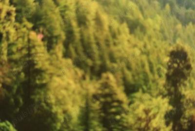 Spațiu comercial, în Central