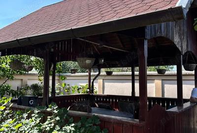 Casă cu 4 camere cu Teren 350 Mp în Goranu - 10