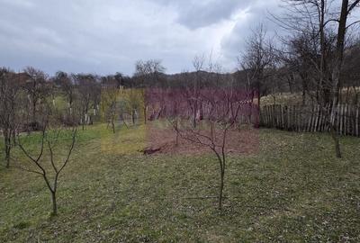 Teren de 800 mp, în Șotrile - 1