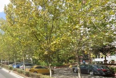 Spațiu comercial, de 312 mp, în Dristor - 1