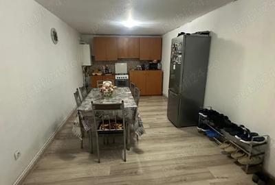 Casă cu 2 camere în Satchinez - 4