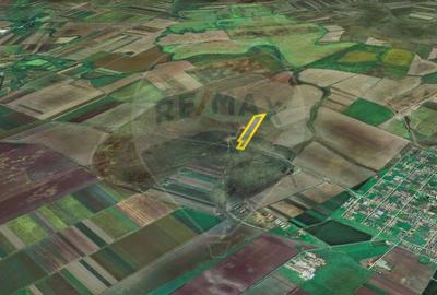 Teren agricol extravilan de 50000 mp, în Est - 14
