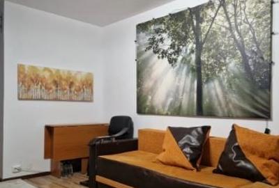 Garsonieră semidecomandată, mobilată în Doamna Ghica - 5