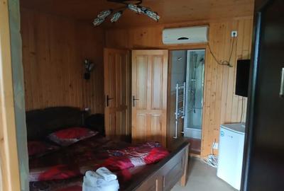 Teren de 10208 mp, în Eșelnița - 8