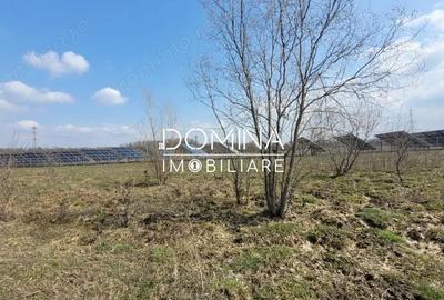 Teren de 978 mp, în Drăguțești - 7