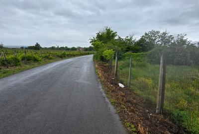 Casa si teren intravilan 4200 mp  Cotesti - 20