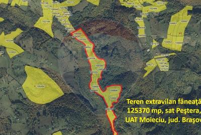 Oportunitate de investitie ! Teren de vis in Pestera - ... - 14