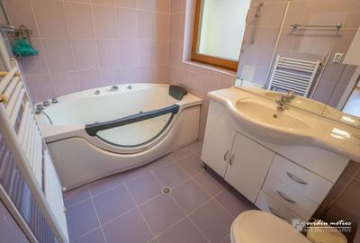 Duplex cu 3 camere cu Canalizare în Andrei Mureșanu - 14