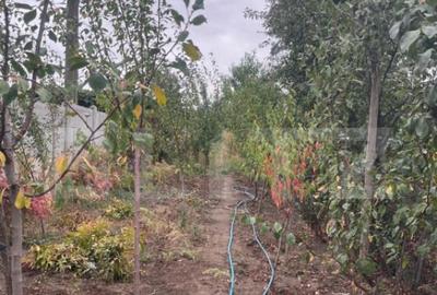 Casă cu 5 camere cu Teren 790 Mp în Bariera Vâlcii - 13