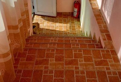 Casa si 4 hectare de teren in Satul Baiesti din Comuna Pui, Jud. Hunedoara... - 1