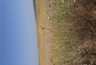 Teren de 5000 mp, în Pleașa - 1