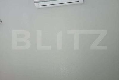 1 casa 160mp + 1 casa 110mp + garaj, pe teren 9ari, 2 cai acces, zona centrala - 7