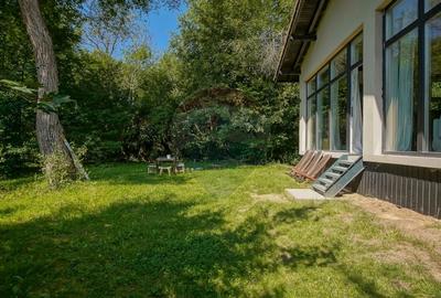 Casa de vacanta superba -Cheile Rasnoavei- liniste, natura si confort! - 10