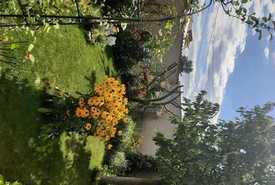 Casă cu Teren 300 Mp în Chiajna - 3