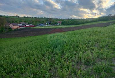 Teren intravilan Tarnaveni - 2