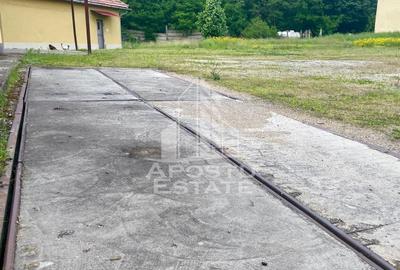 Spatii productie si depozitare, zona Sebis - Prunisor-Carand - 15