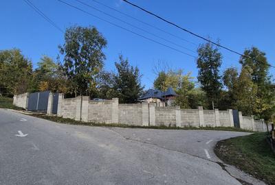 Casă cu 2 camere în Provița de Sus - 5
