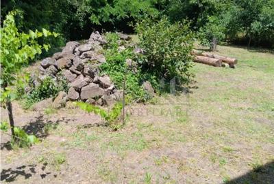 Casă cu 5 camere în Copou - 2