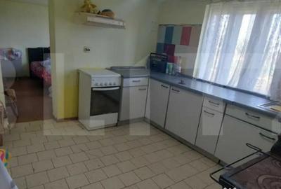 Casă cu 2 camere cu Teren 3200 Mp în Silagiu - 2