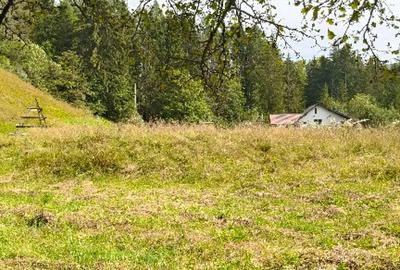 Teren de 4080 mp, în Valea Doftanei - 2