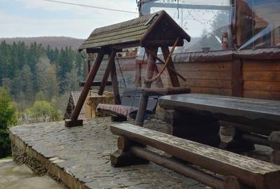 Pensiune in Bucovina cu 27 camere-Varfu Dealului-Cacica-Suceava - 4
