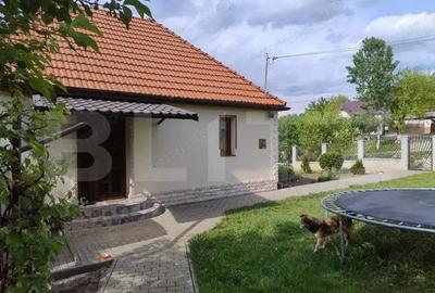 Casa in Teaca cu 4 camere si 10 ari de teren - 3