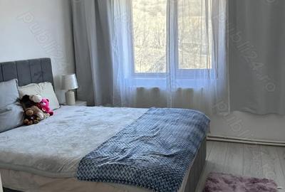 Casă cu Teren 6400 Mp în Rediu - 2